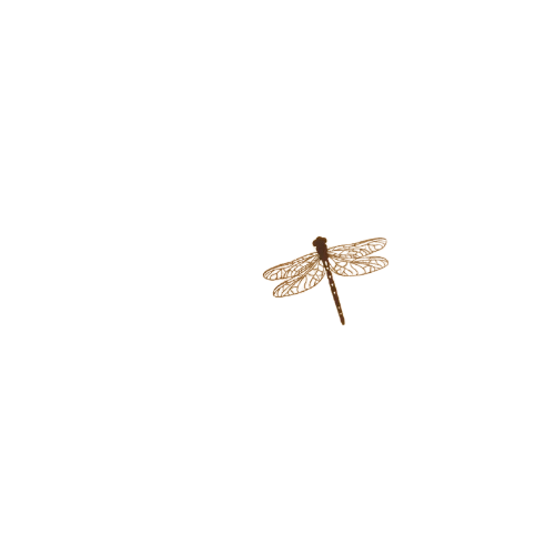 logo (1)